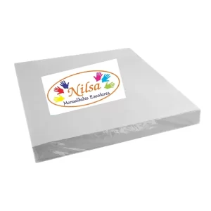 Papel Filtro 20x20 NILSA 25un